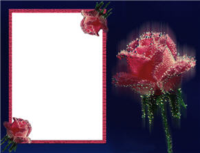 Рамки для фотошопа с розами. Интернет-посиделки